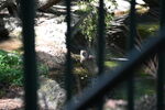 DSC_6936.JPG